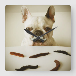 French Bulldog With A Mustache Square Wall Clock