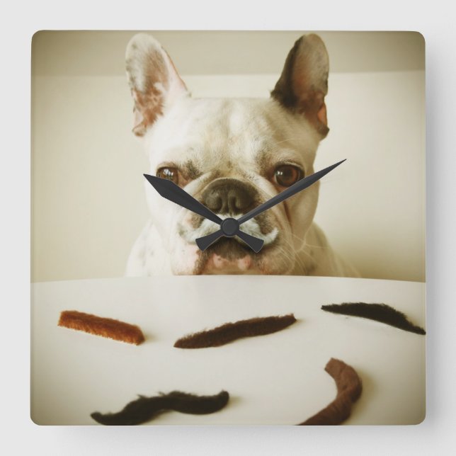 French Bulldog With A Mustache Square Wall Clock (Front)