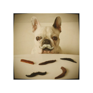 French Bulldog With A Mustache Wood Wall Art