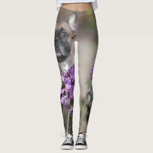 French Bulldog with bee Leggings