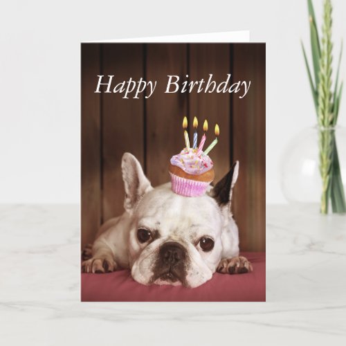 French Bulldog With Birthday Cupcake Card