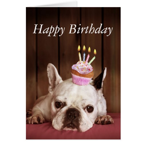 French Bulldog With Birthday Cupcake Card | Zazzle