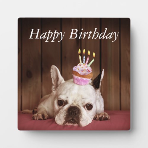French Bulldog With Birthday Cupcake Plaque