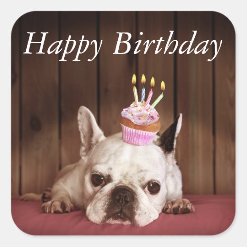 French Bulldog With Birthday Cupcake Square Sticker