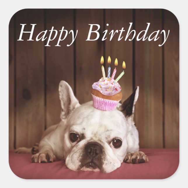 French Bulldog With Birthday Cupcake Square Sticker (Front)