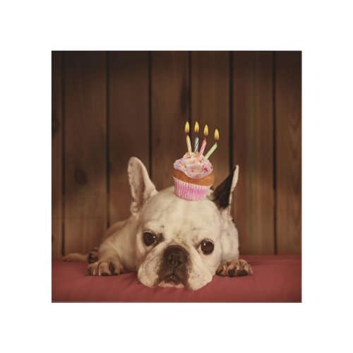 French Bulldog With Birthday Cupcake Wood Wall Decor