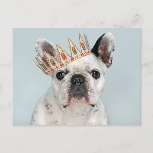 French Bulldog with Crown Postcard