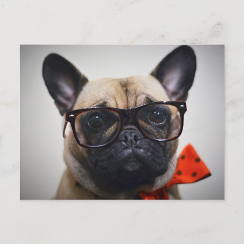 French Bulldog With Glasses And Bow Tie Postcard