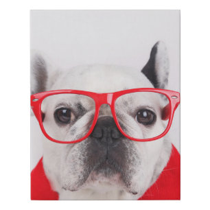 French Bulldog with Glasses and Shirt Faux Canvas Print