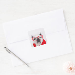 French Bulldog with Glasses and Shirt Square Sticker