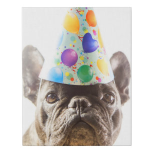 French Bulldog with Party Hat Faux Canvas Print