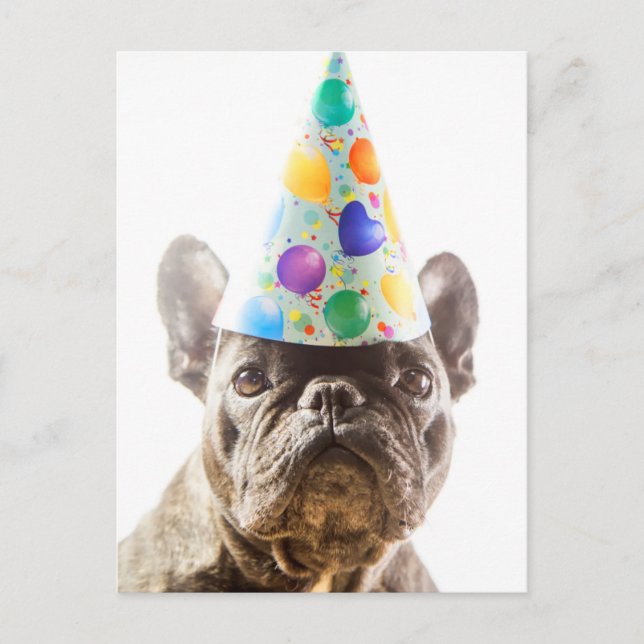 French Bulldog with Party Hat Postcard (Front)