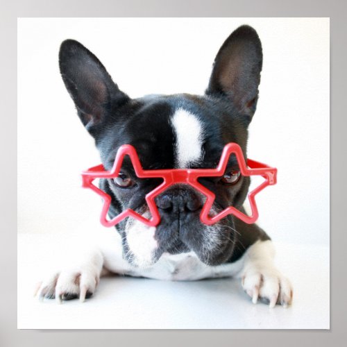 French Bulldog With Red Star Glasses Poster