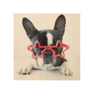 French Bulldog With Red Star Glasses Wood Wall Decor