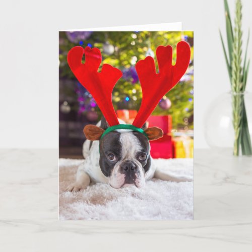 French Bulldog With Reindeer Horns Holiday Card