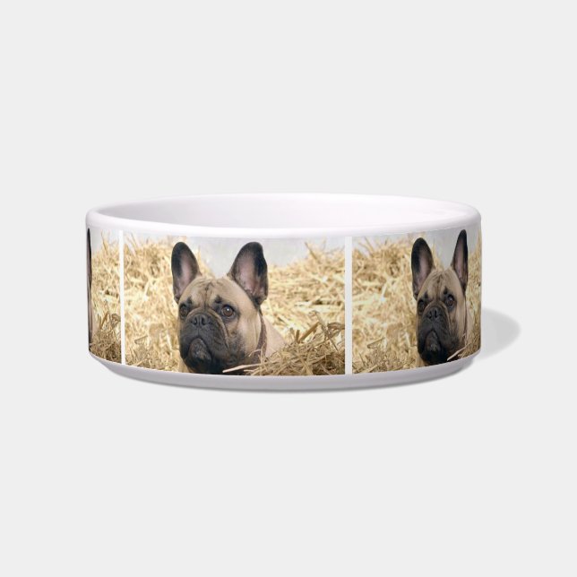 French Bulldogge Futternapf Bowl (Front)