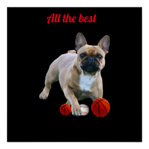 French Bulldogge Poster
