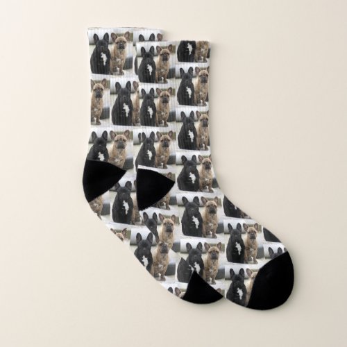 French bulldogge socks