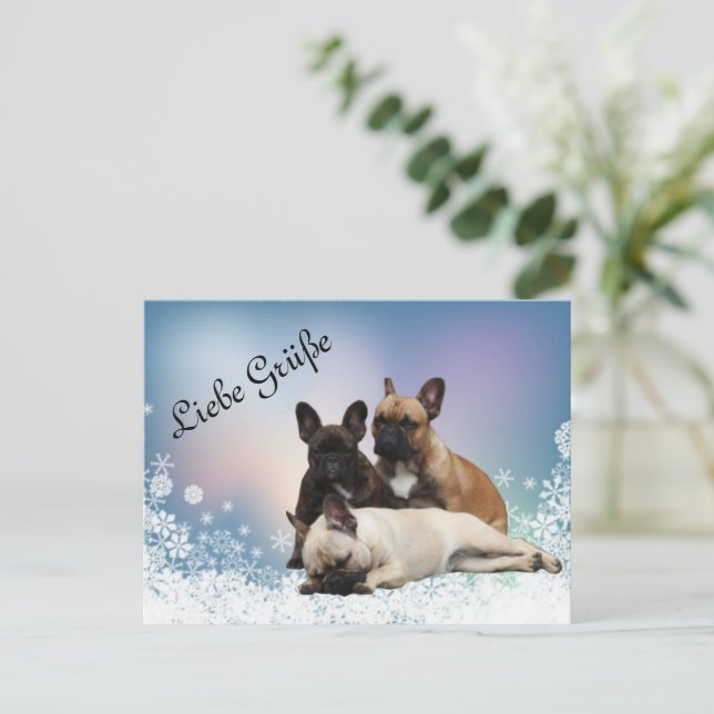 French Bulldoggen Winter Postcard (Standing Front)