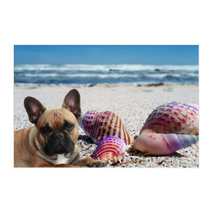 French Bulldogs at the Beach Acrylic Wall Art