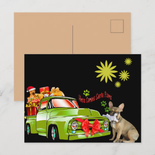 French Bulldogs Christmas French Bulldog Postcard