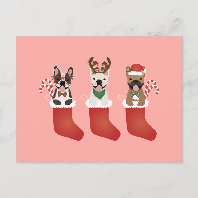 French Bulldogs Christmas Stockings Postcard (Front)