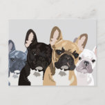 French Bulldogs | Cute Frenchie Bulldog Postcard<br><div class="desc">French bulldog postcard featuring a white,  fawn/red,  blue,  and black/brindle frenchie on a pastel gray background that can be changed to any color.</div>