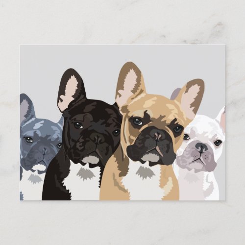 French Bulldogs  Cute Frenchie Bulldog Postcard