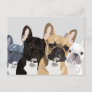 French Bulldogs | Cute Frenchie Bulldog Postcard