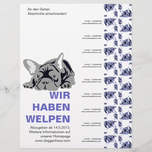 French Bulldogs Flyer (Front)