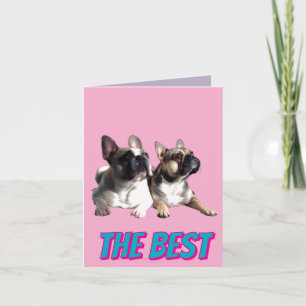 French Bulldogs French Bulldog the Best Invitation