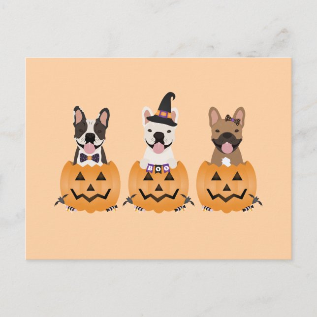 French Bulldogs Halloween Pumpkin Postcard (Front)