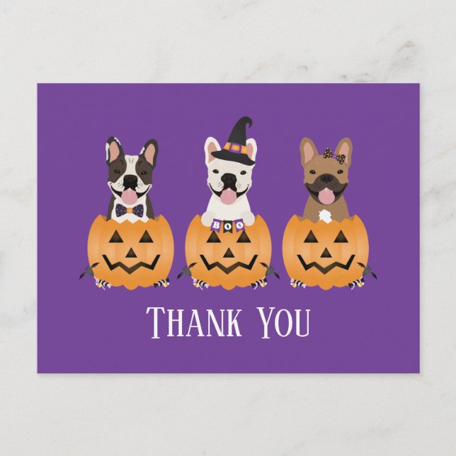 French Bulldogs Halloween Thank You Postcard (Front)