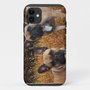 French Bulldogs iPhone 5 Case Made