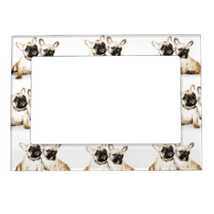 French Bulldogs Magnetic Photo Frame