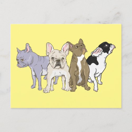 French Bulldogs Postcard