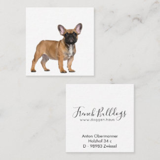 French Bulldogs  Square Business Card