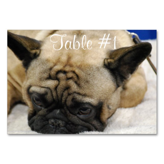 French Bulldogs Table Number (Front)