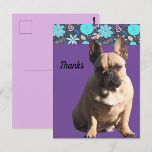French Bulldogs thank you French Bulldog Postcard