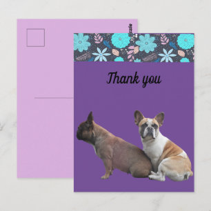 French Bulldogs thank you French Bulldog Postcard