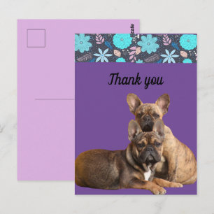 French Bulldogs thank you French Bulldog Postcard
