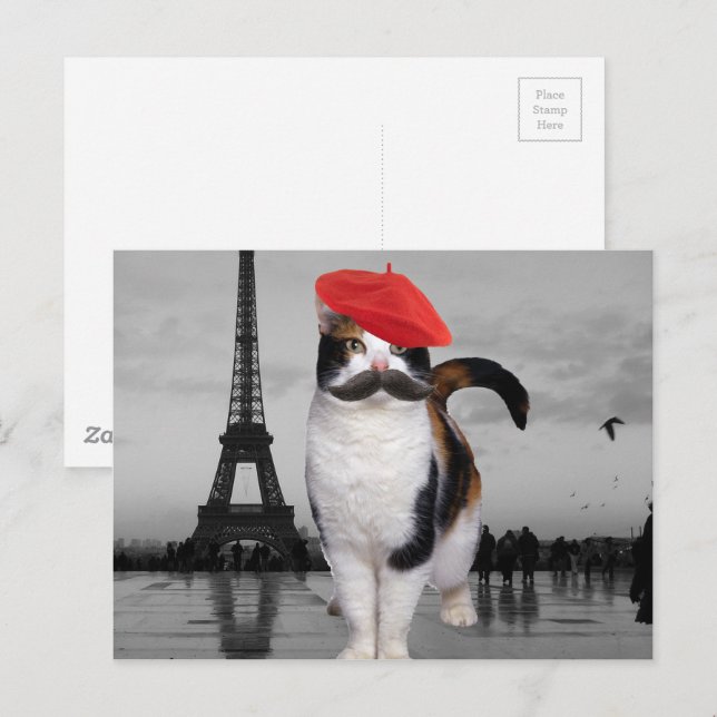 French Cat in Paris Postcard | Zazzle