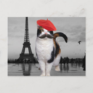French Cat in Paris Postcard