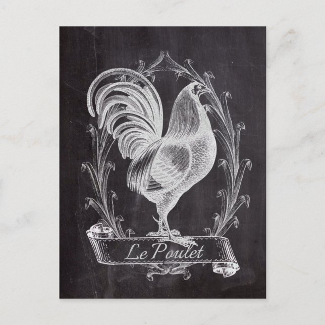 french chic chalkboard western country rooster postcard (Front)