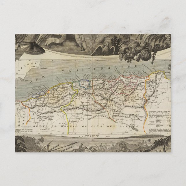 French colony Algeria Postcard (Front)