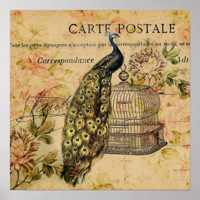 french country art nouveau vintage peacock poster (Front)