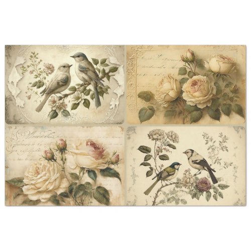 French Country Birds and Roses Tissue Paper