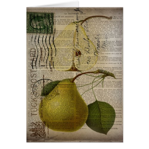 french country botanical illustration vintage pear