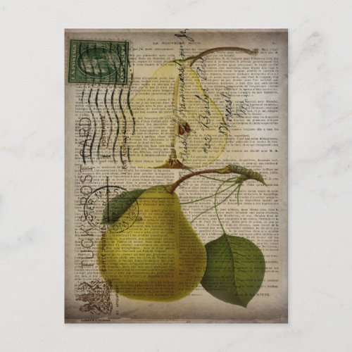 french country botanical illustration vintage pear postcard