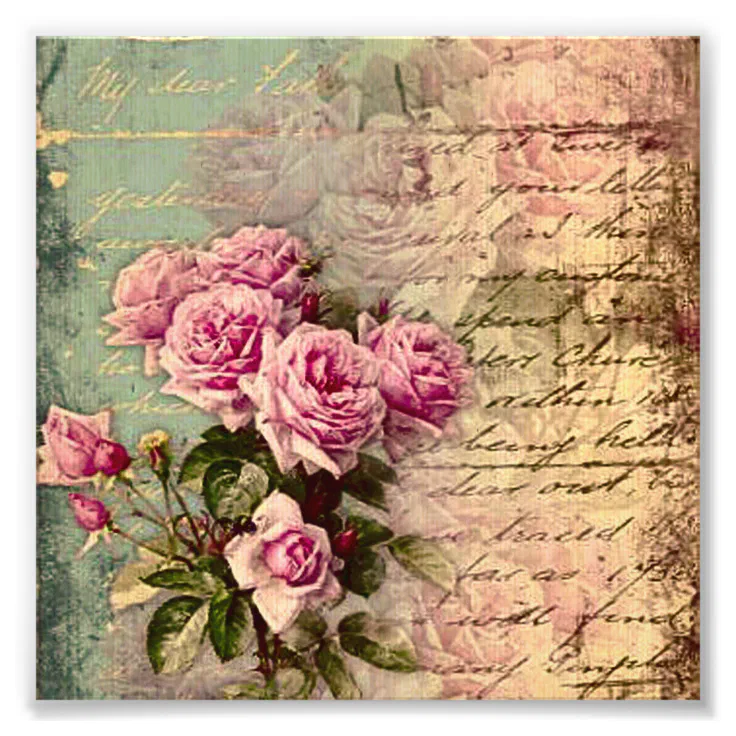 French country chic,shabby chic, pink roses, flora photo print | Zazzle